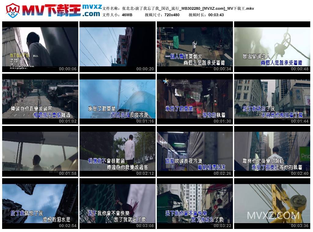 张北北-放了我忘了我_国语_流行_MB302280